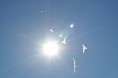 White dove kites in flight -- proclaiming the light of God.