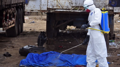 August 12, 2014: The body of a man found in the street, suspected of dying from the ebola virus is sprayed with disinfectant, in the capital city of Monrovia, Liberia. (AP Photo/Abbas Dulleh)