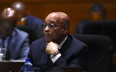 pensive Zuma