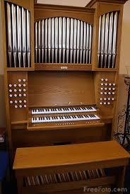 organ